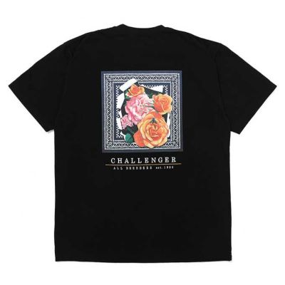 CHALLENGER(チャレンジャー)Tシャツ商品一覧ページ│通販正規