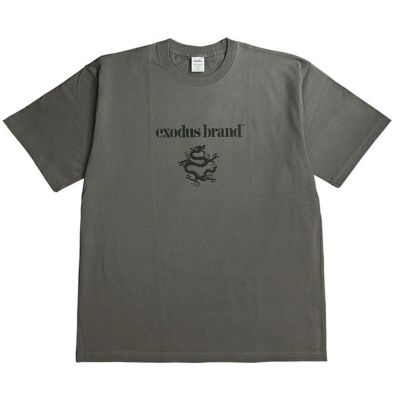 EXODUS Tシャツ　コピーライト入り EZカレッジパズル オーバーサイズド コットンTシャツ(EZBH