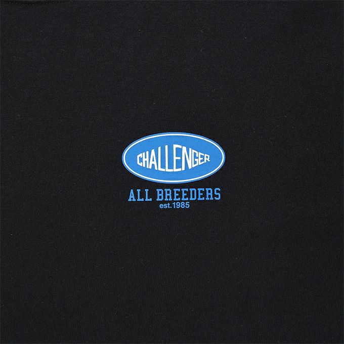 CHALLENGER L/S SUNSET DRIVE TEE | LOCKSTOCK/STLIKE